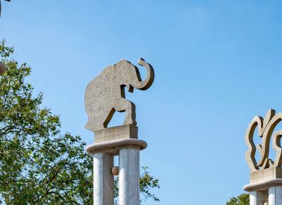 Help mee bij Blijdorp ZOOmeravond