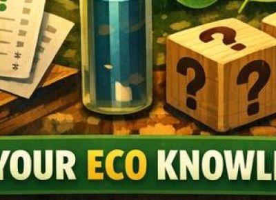 Sustainability Pub Quiz